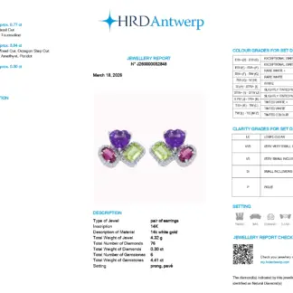 Multi Stone Halo Stud Earrings In 14K White Gold